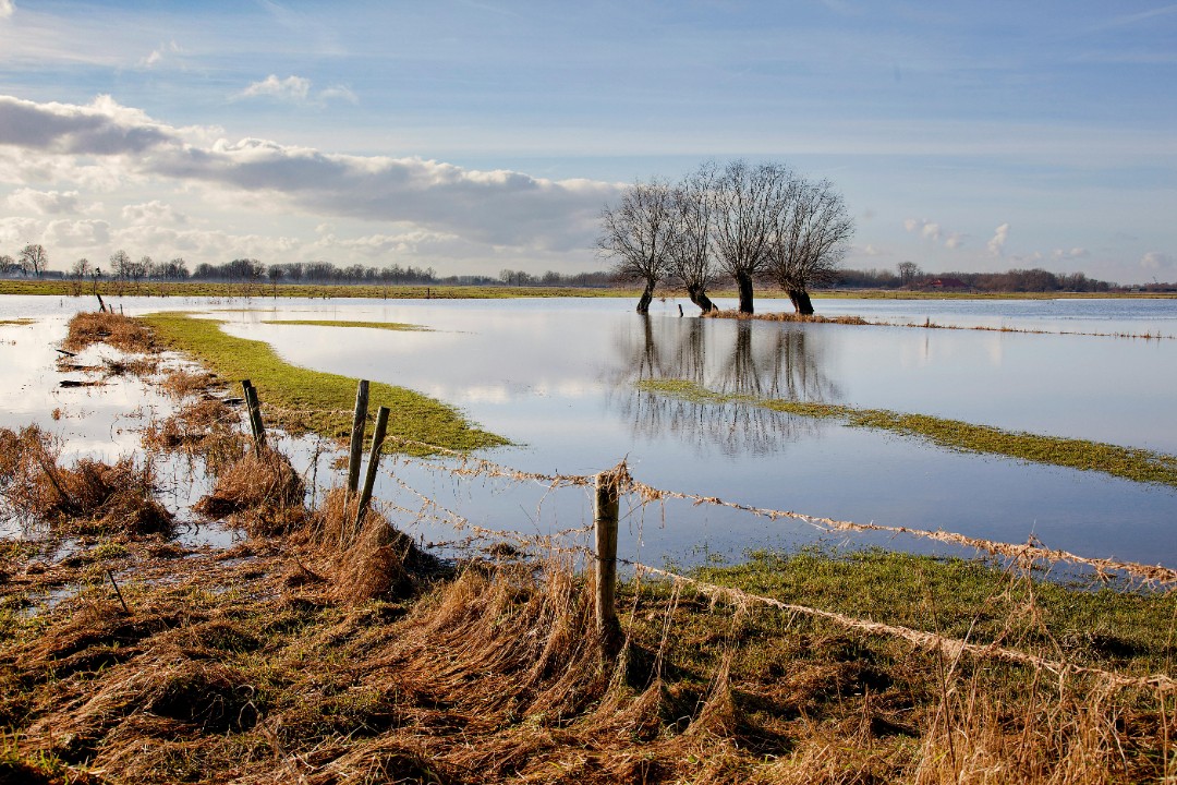 Flooded area