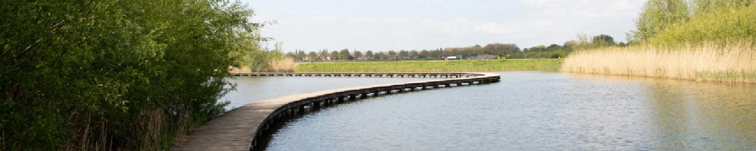 Plank path in nature area