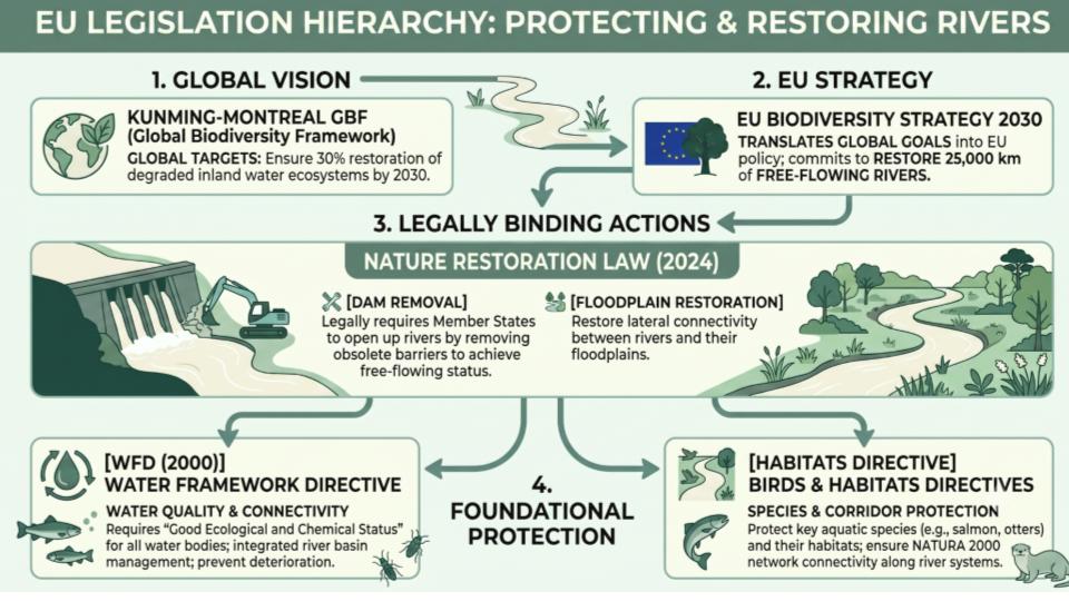 Generated by Gemini (Google) on July 20, 2026.