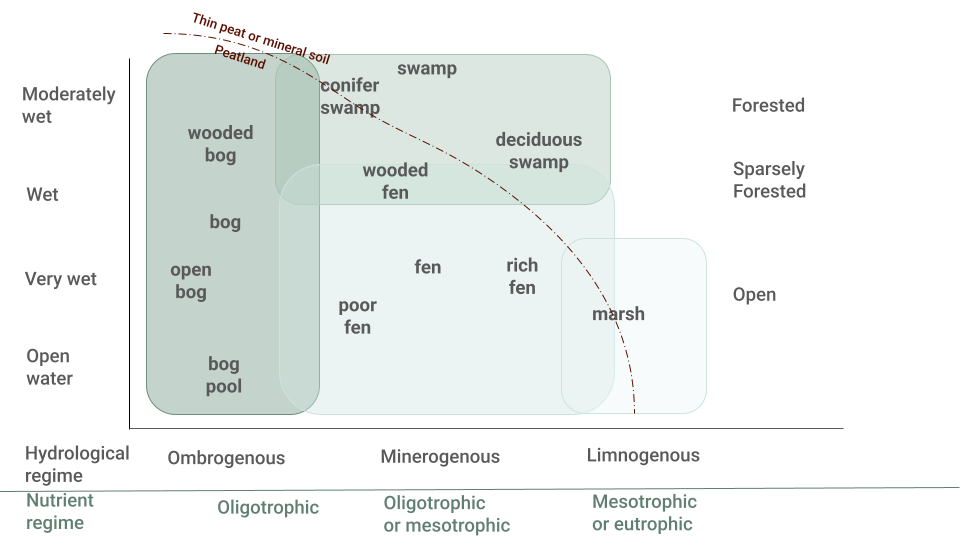 Image adapted from Rydin & Jeglum (2013).